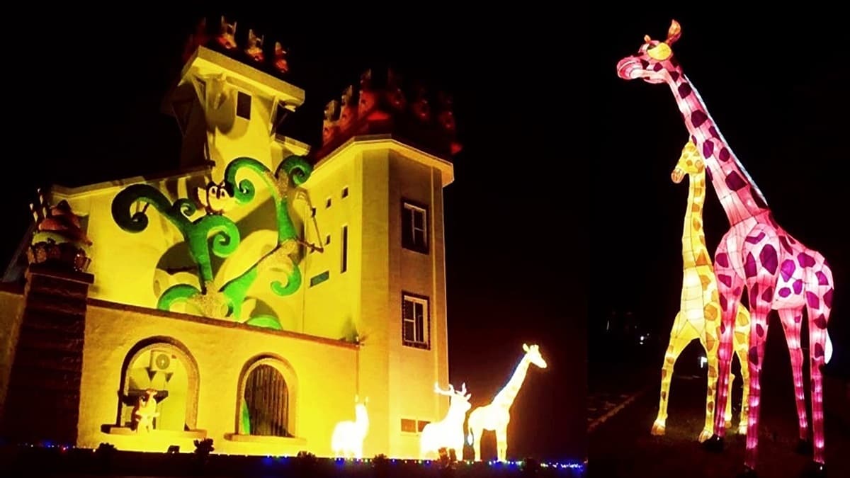 驚豔!山中童話城堡出現長頸鹿