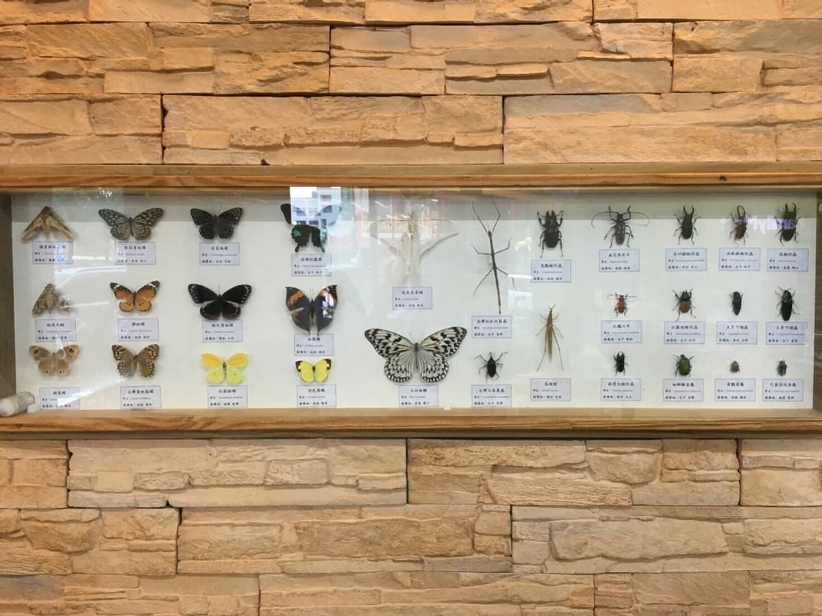 咖啡館?科博館?這10間超商讓人傻傻分不清 咖啡館?科博館?這10間超商讓人傻傻分不清