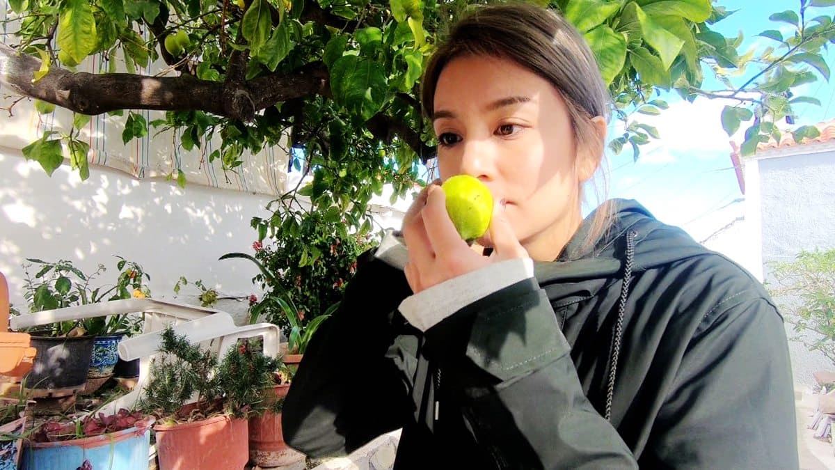 真正的玩家才懂這樣玩 騎小毛驢逛愛琴海超美小島 真正的玩家才懂這樣玩 騎小毛驢逛愛琴海超美小島