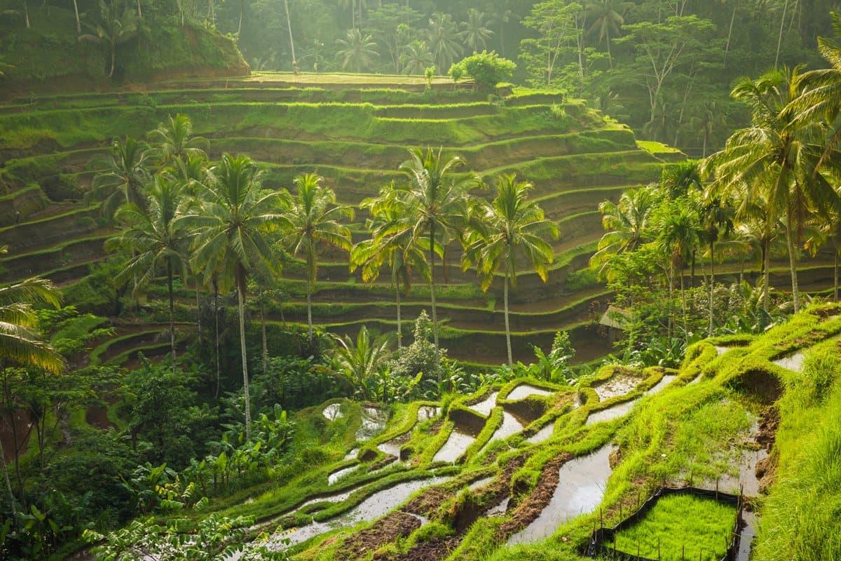 2018十二生肖開運旅遊地 你適合去哪裡? 2018十二生肖開運旅遊地 你適合去哪裡?