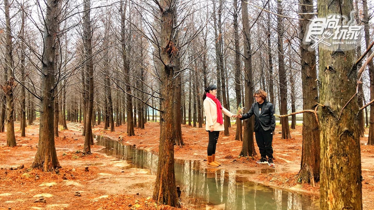【節目預告】3/5〜3/8南投加料行程、台北打卡美食、桃園早鳥美饡、花蓮絕美住宿 【節目預告】3/5〜3/8南投加料行程、台北打卡美食、桃園早鳥美饡、花蓮絕美住宿