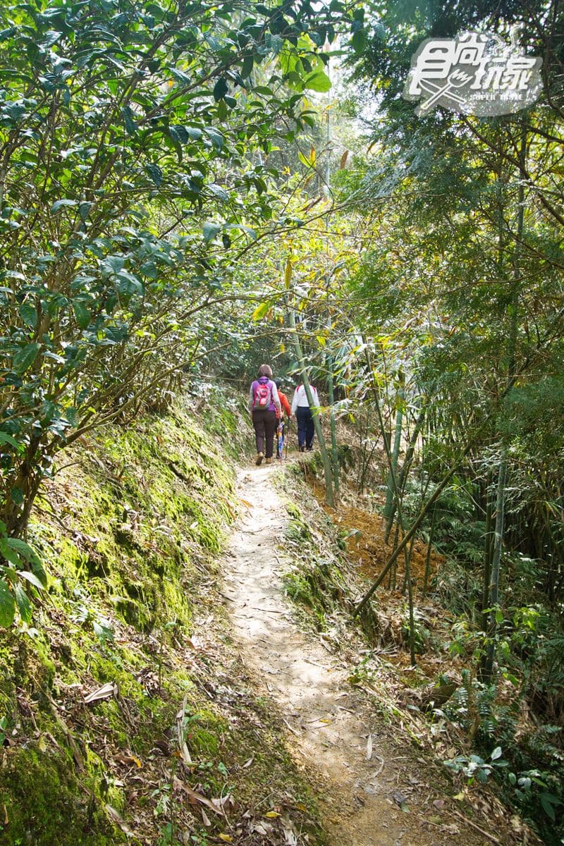 內行人才知道的水庫祕境,湖中竟有「巨型土虱、神龜」 內行人才知道的水庫祕境,湖中竟有「巨型土虱、神龜」