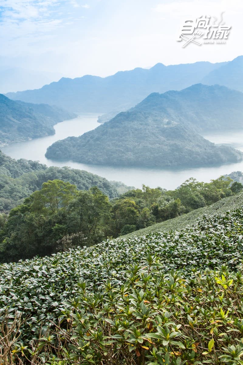 內行人才知道的水庫祕境,湖中竟有「巨型土虱、神龜」 內行人才知道的水庫祕境,湖中竟有「巨型土虱、神龜」