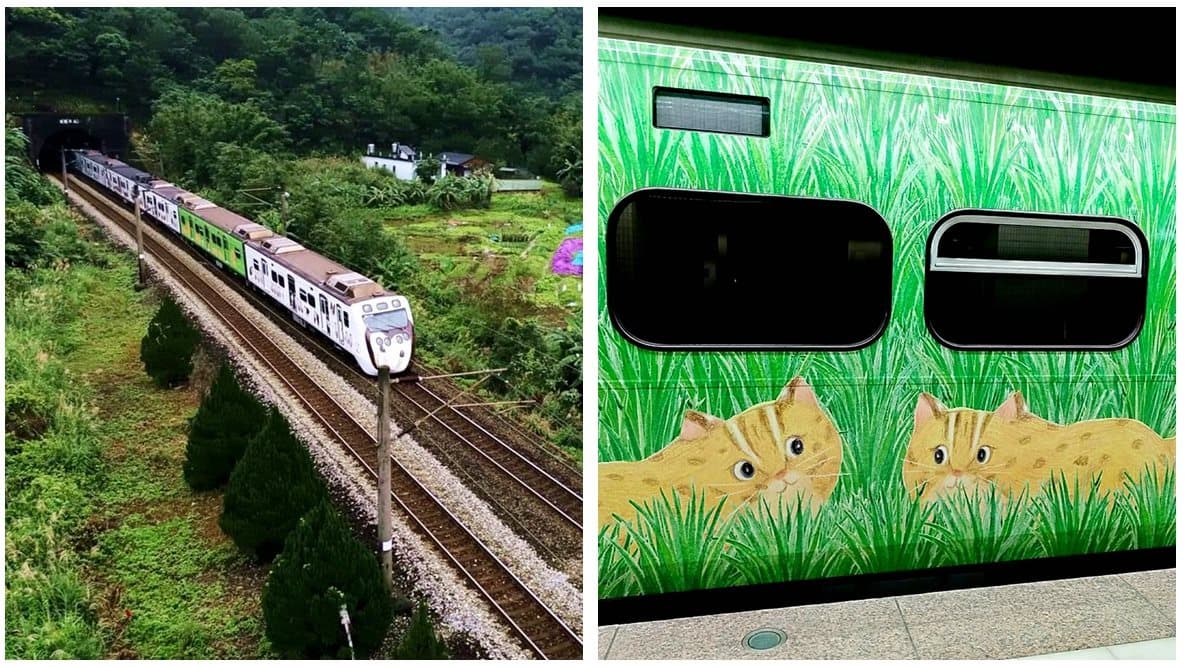 超萌生態列車 8大彩繪動物任你拍 超萌生態列車 8大彩繪動物任你拍