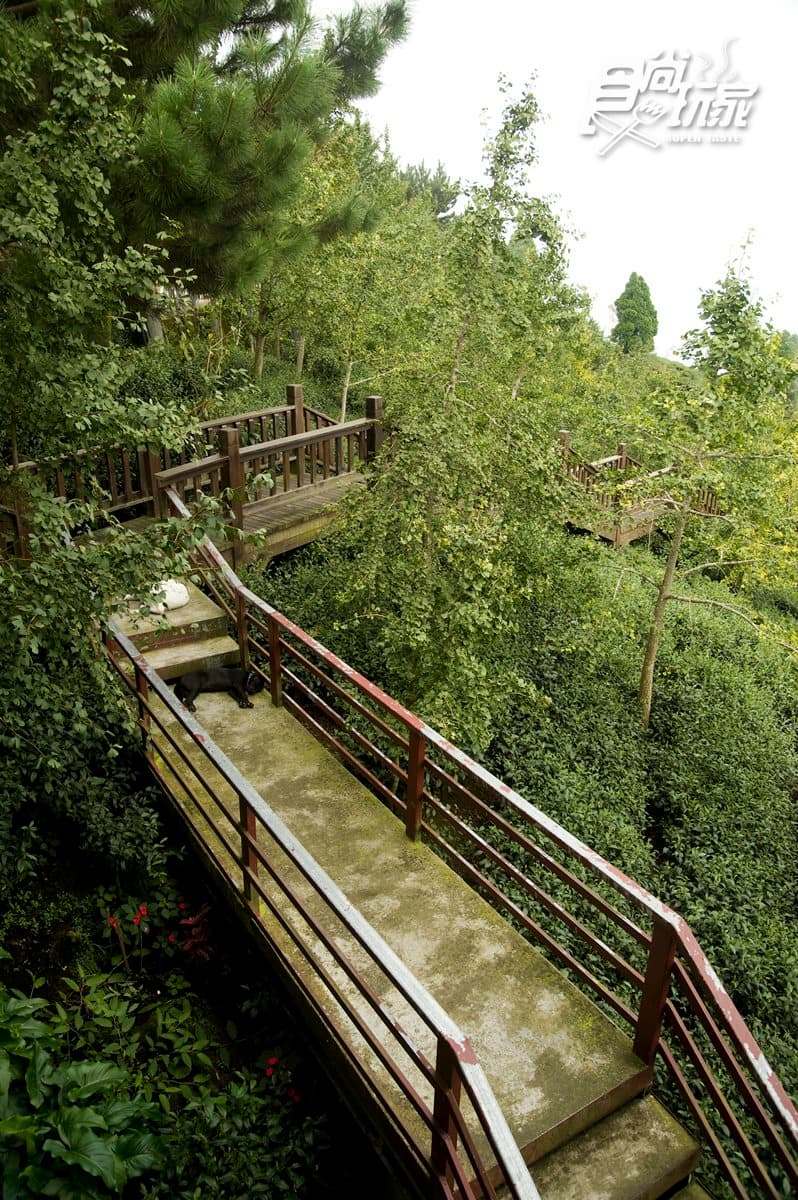 你的畢業旅行在這裡嗎?溪頭大學池、東南亞最大銀杏森林、南投最美小學、竹林隧道 你的畢業旅行在這裡嗎?溪頭大學池、東南亞最大銀杏森林、南投最美小學、竹林隧道