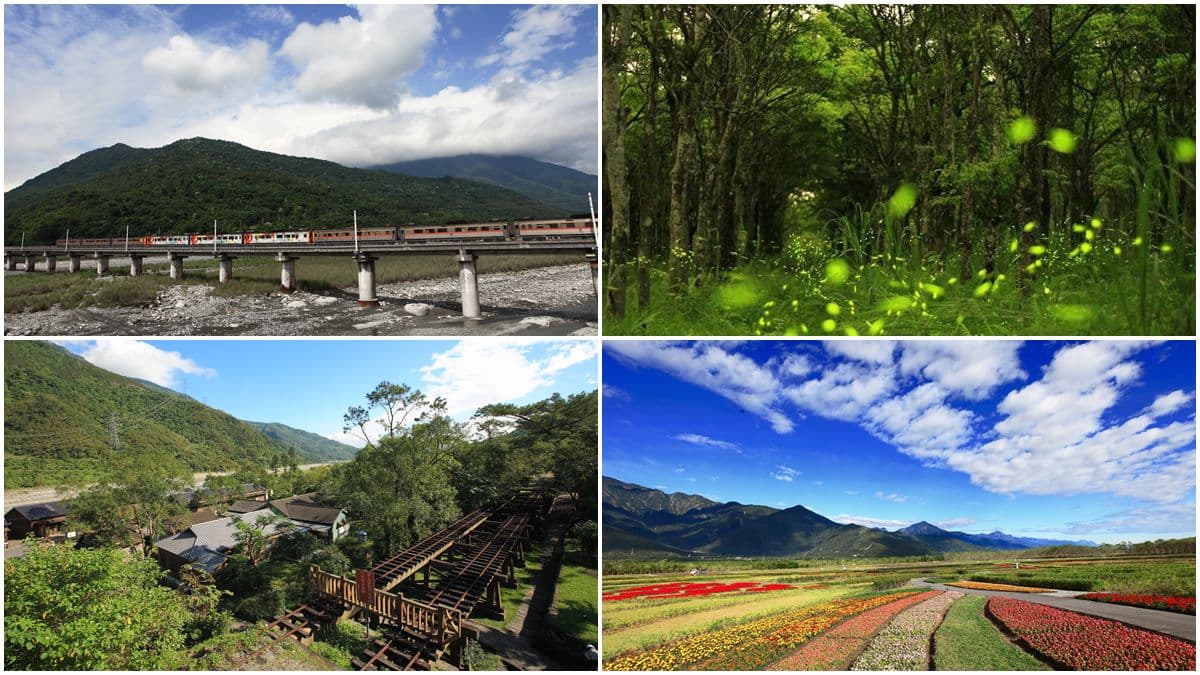 【春假怎麼玩】搭火車玩花東縱谷7站→第7站傳說中「龍貓隧道」一定要玩 【春假怎麼玩】搭火車玩花東縱谷7站→第7站傳說中「龍貓隧道」一定要玩