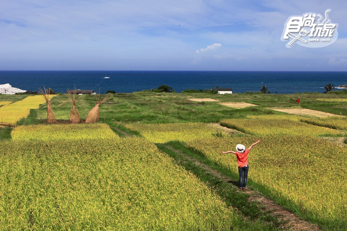 【春假怎麼玩】花蓮最美海線兜風去(1)海景第一排吃阿美族好味 【春假怎麼玩】花蓮最美海線兜風去(1)海景第一排吃阿美族好味