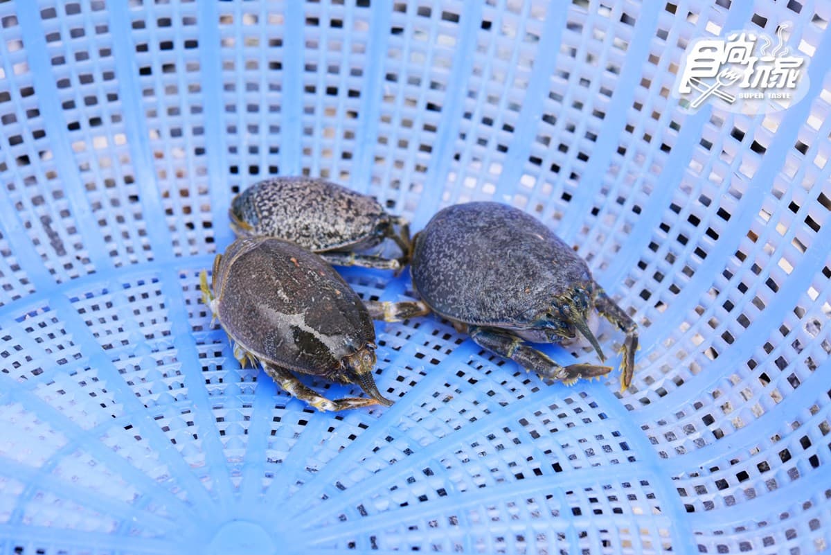 【春假怎麼玩】花蓮最美海線兜風去(1)海景第一排吃阿美族好味 【春假怎麼玩】花蓮最美海線兜風去(1)海景第一排吃阿美族好味