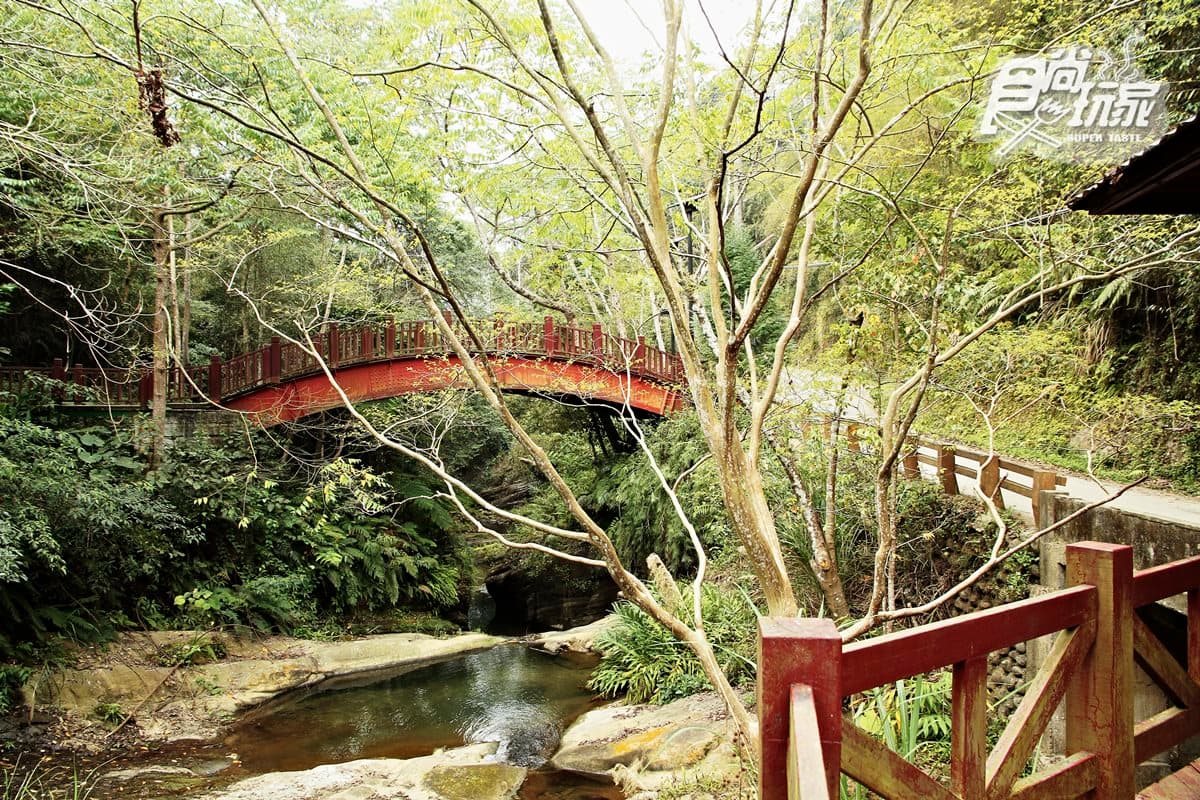 大窩山賞桐追螢2日遊!看魚藤纏巨木百年奇景、走神祕古圳道試膽、嘗「老街三寶」 大窩山賞桐追螢2日遊!看魚藤纏巨木百年奇景、走神祕古圳道試膽、嘗「老街三寶」