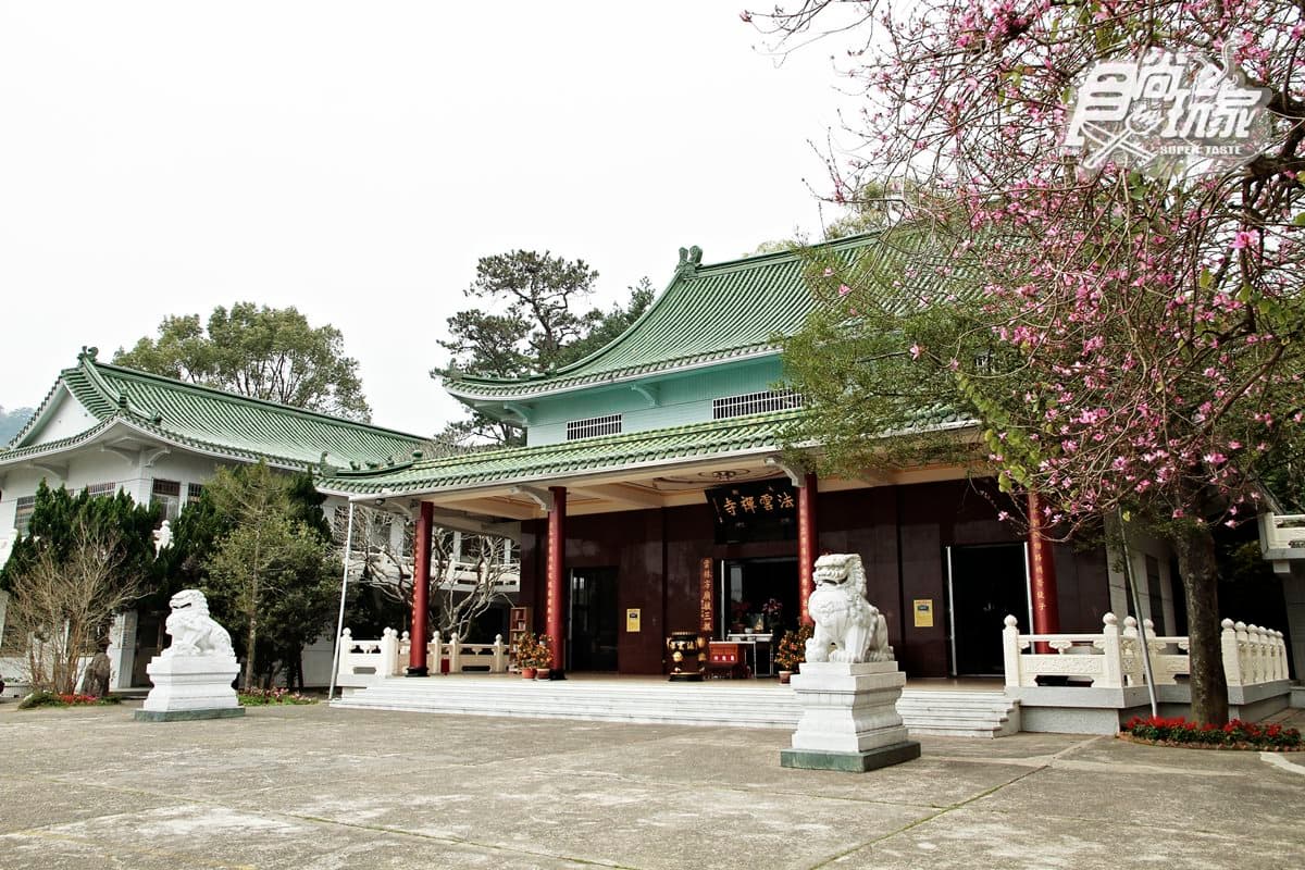 大窩山賞桐追螢2日遊!看魚藤纏巨木百年奇景、走神祕古圳道試膽、嘗「老街三寶」 大窩山賞桐追螢2日遊!看魚藤纏巨木百年奇景、走神祕古圳道試膽、嘗「老街三寶」