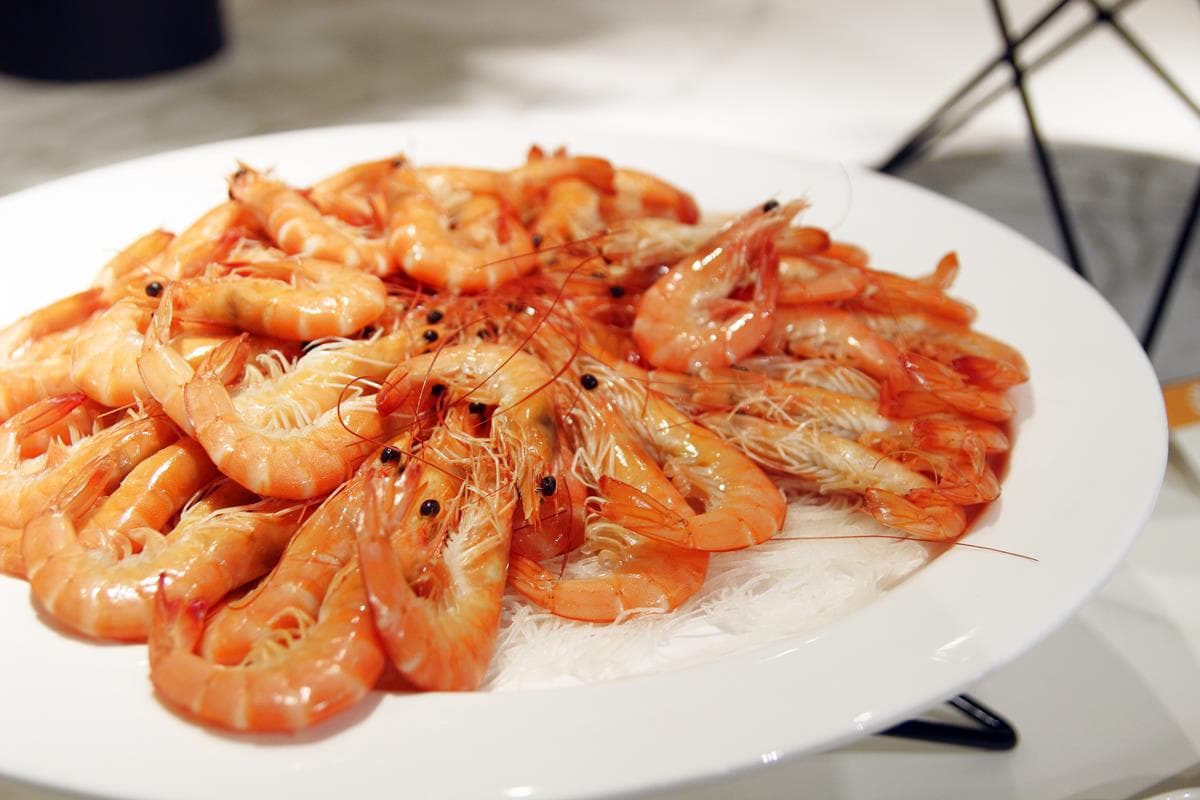 【新開店】吃到飽生力軍!吃澎湃海鮮、港式點心618元起! 【新開店】吃到飽生力軍!吃澎湃海鮮、港式點心618元起!