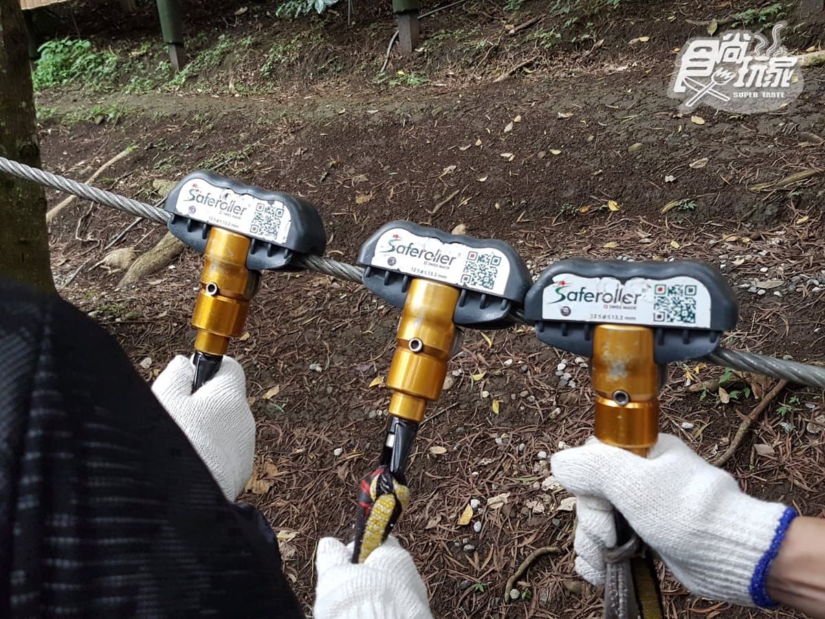 28關連續挑戰!超刺激「樹冠層探險」 連歌手都忍不住尖叫了 28關連續挑戰!超刺激「樹冠層探險」 連歌手都忍不住尖叫了