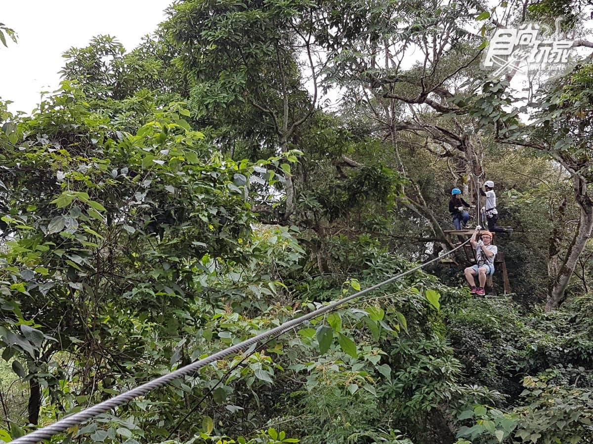 28關連續挑戰!超刺激「樹冠層探險」 連歌手都忍不住尖叫了 28關連續挑戰!超刺激「樹冠層探險」 連歌手都忍不住尖叫了
