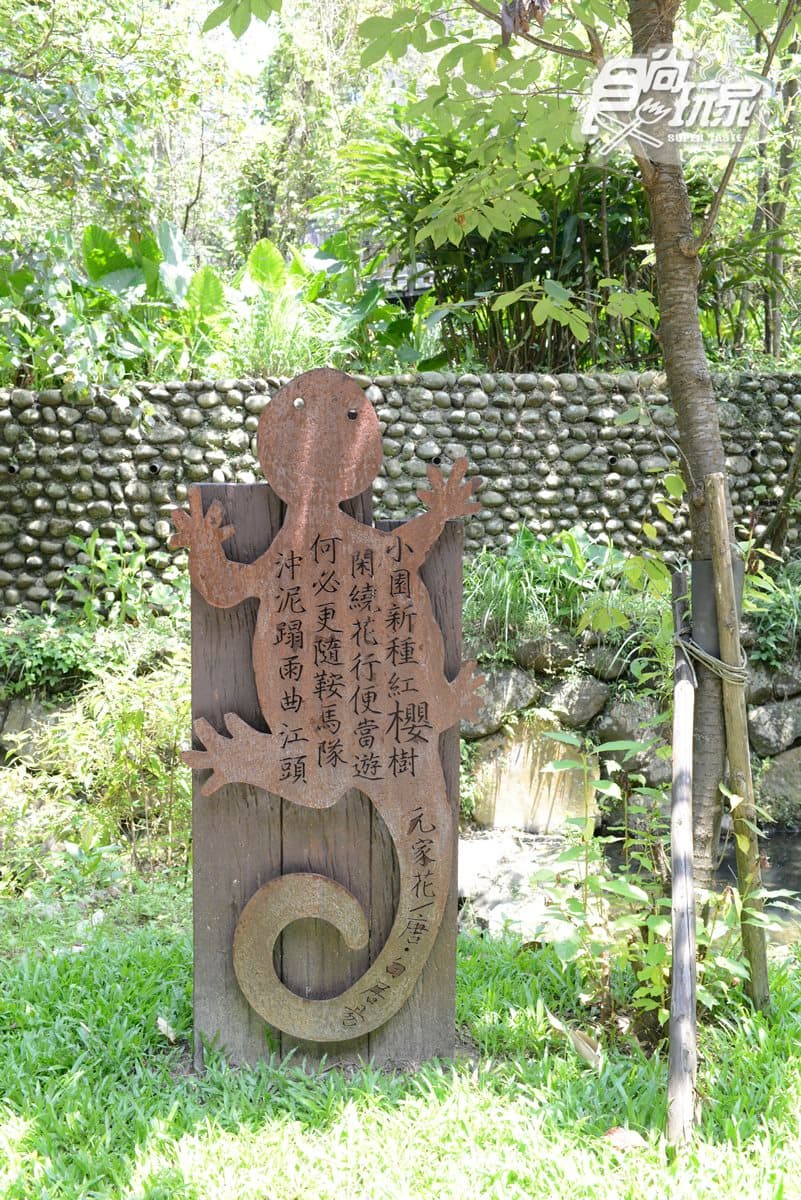 木柵人的消暑私境!「文青」親水步道+3家開胃好料 木柵人的消暑私境!「文青」親水步道+3家開胃好料
