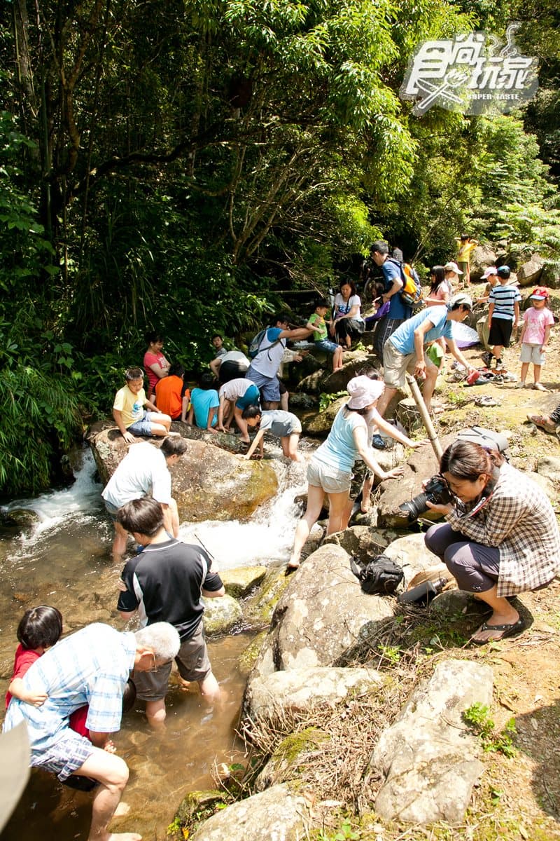 這條私密「親水步道」竟直通內灣老街!70公尺雙層瀑布+桂竹林+五色鳥 這條私密「親水步道」竟直通內灣老街!70公尺雙層瀑布+桂竹林+五色鳥