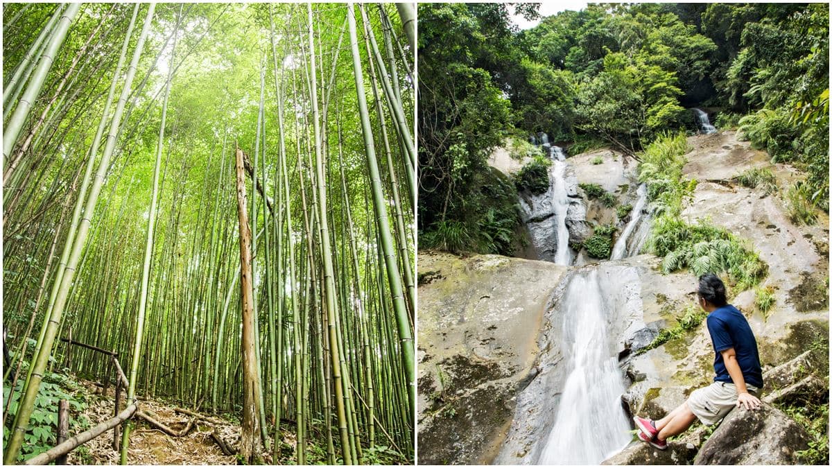這條私密「親水步道」竟直通內灣老街!70公尺雙層瀑布+桂竹林+五色鳥