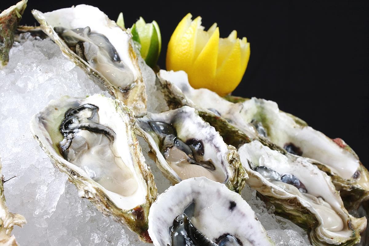 海鮮控會失控!只有這時段現開現吃「澎湖生蠔吃到飽」+99元再送鮑魚! 海鮮控會失控!只有這時段現開現吃「澎湖生蠔吃到飽」+99元再送鮑魚!
