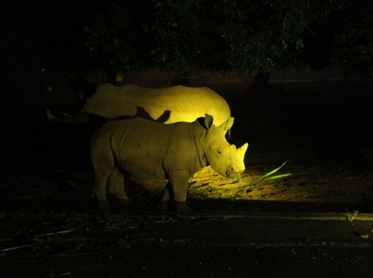 露營迷集合!全台第一個遊樂園推「華麗露營團」:動物園紮營、火山漂浮舞台、360度水槍大戰 露營迷集合!全台第一個遊樂園推「華麗露營團」:動物園紮營、火山漂浮舞台、360度水槍大戰