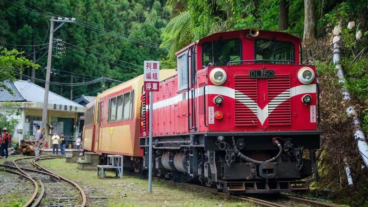 阿里山小火車推七夕「珍愛之旅」,欣賞阿里山自然美景、吃當地風味餐、逛懷舊老街