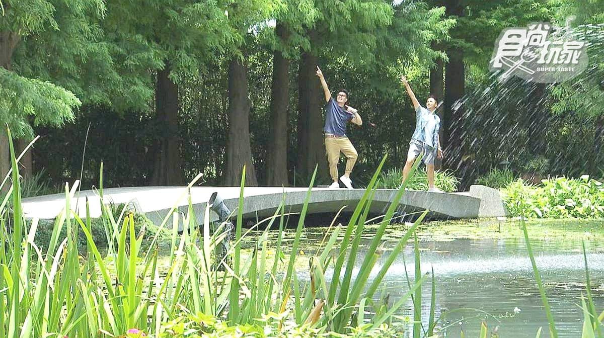 被落羽松包圍的玻璃屋超浪漫!這家庭園咖啡館好吃好拍又好玩
