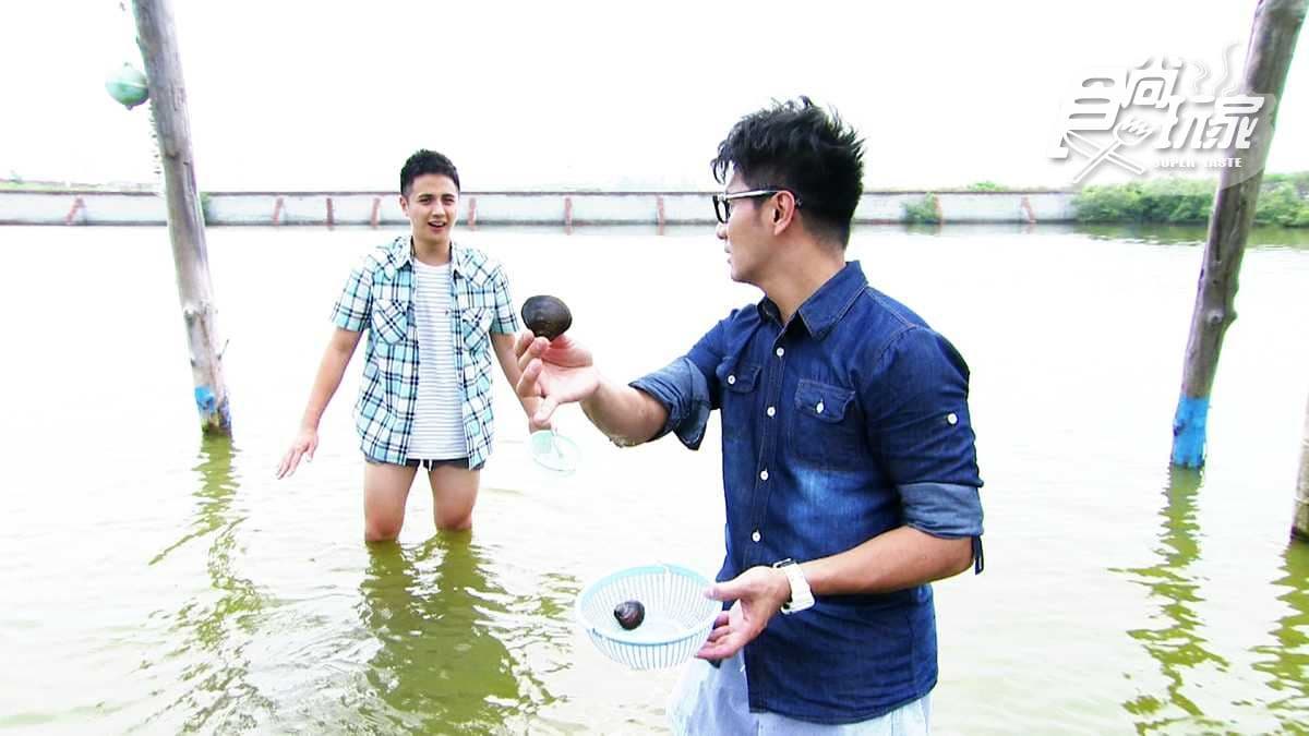 親子最愛!捲褲管摸「馬蹄蛤」 蜆仔生蠔料理有青才敢大聲
