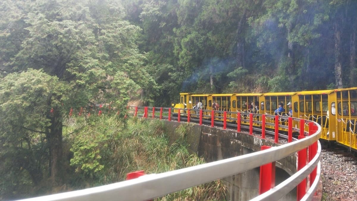 就是今天!等6年終於復駛!搭「太平山蹦蹦車」玩宜蘭版《魔法公主》森林