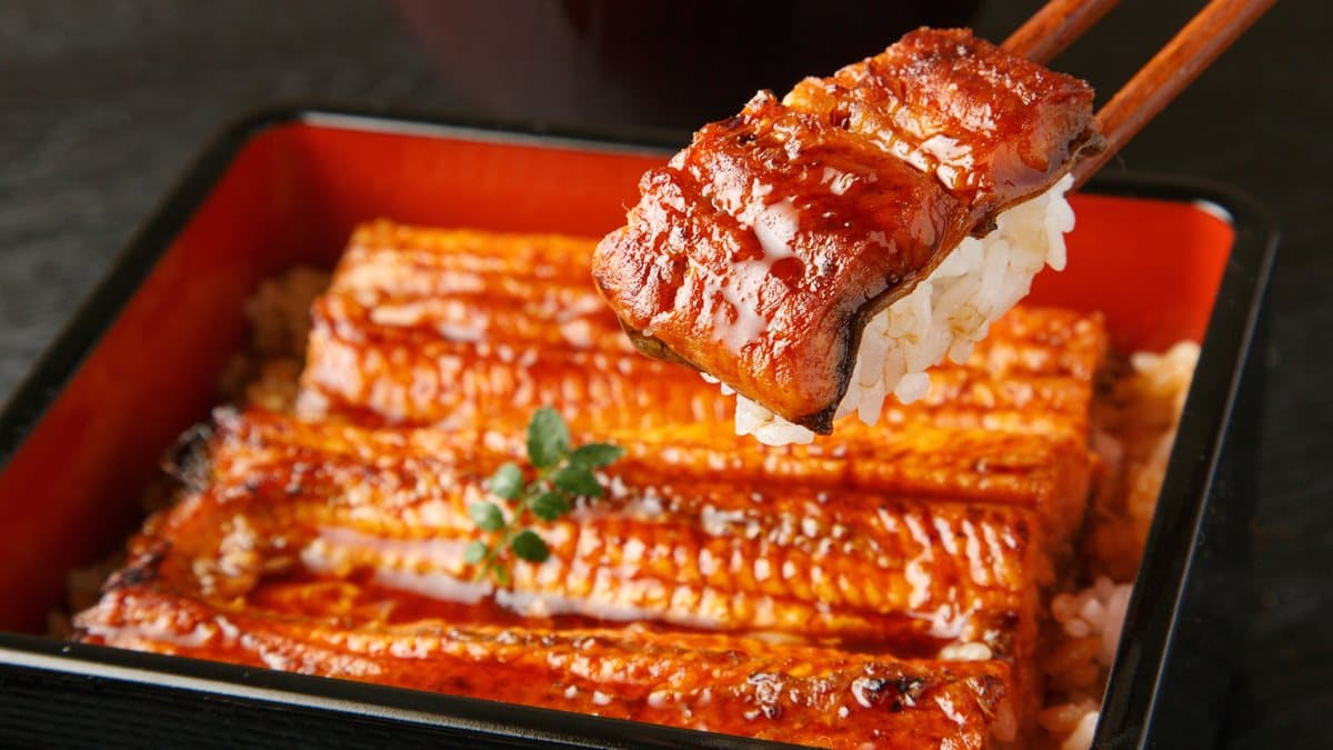 【食尚廚藝課】什麼季節吃饅魚才對?4個步驟教你做日本味「烤鰻魚便當」