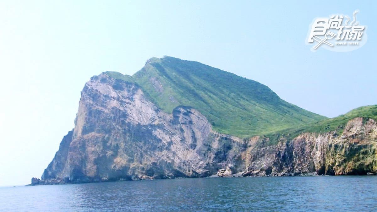 從來沒這麼近看過龜山島!搭船賞八景 人品好還可遇到海豚開趴踢 從來沒這麼近看過龜山島!搭船賞八景 人品好還可遇到海豚開趴踢