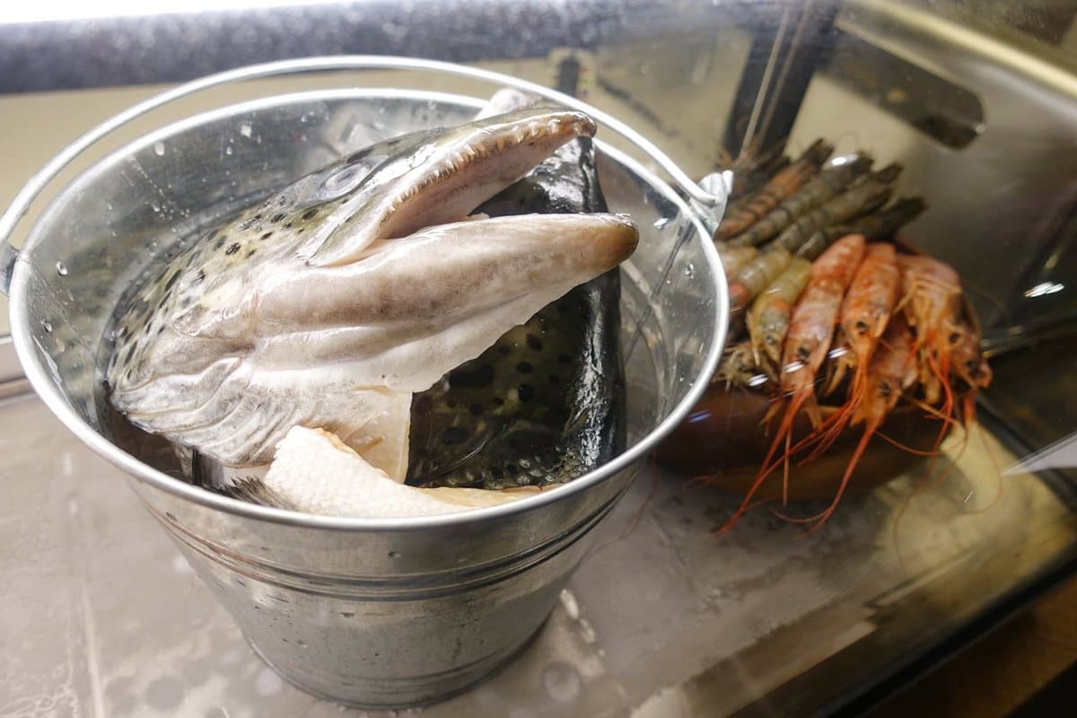 【新開店】天使紅蝦1隻35元!宜蘭最猛「超市鍋物店」吃到飽 30種蔬菜任選 【新開店】天使紅蝦1隻35元!宜蘭最猛「超市鍋物店」吃到飽 30種蔬菜任選