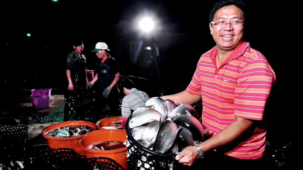 台南吃「牛奶魚」賞「黑琵」+順遊6亮點:鹽鹵足之浴、搭竹筏賞生態、吃「七股三寶」