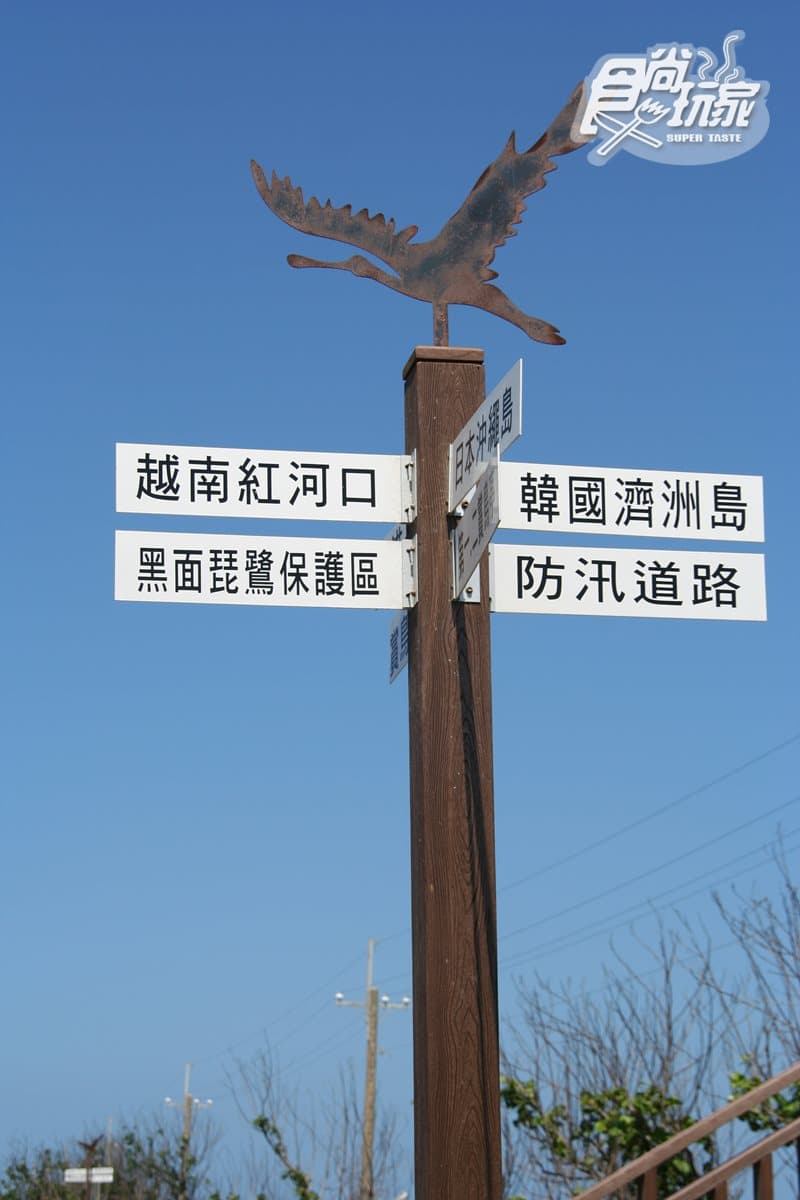台南吃「牛奶魚」賞「黑琵」+順遊6亮點:鹽鹵足之浴、搭竹筏賞生態、吃「七股三寶」 台南吃「牛奶魚」賞「黑琵」+順遊6亮點:鹽鹵足之浴、搭竹筏賞生態、吃「七股三寶」