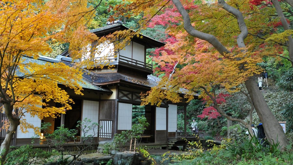 旅日達人提案!東京最佳賞楓路線→第2站紅葉環繞中泡湯,卓別林也來過