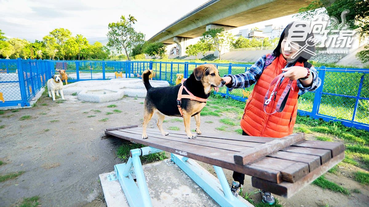 毛孩也有迷宮玩!這個寵物公園還有沙坑、波浪棧道、翹翹板
