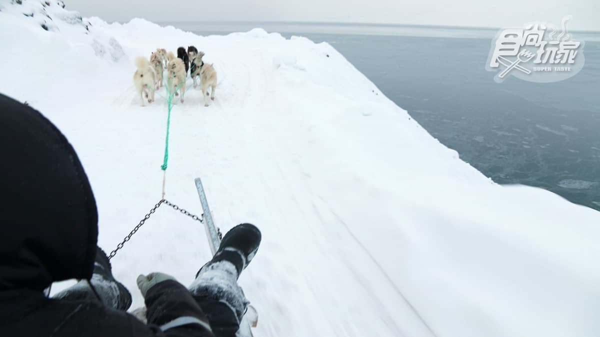 玩家成就解鎖!傳說中的「狗拉雪橇」 北極圈格陵蘭體驗野性的呼喚【食尚小編出任務】 玩家成就解鎖!傳說中的「狗拉雪橇」 北極圈格陵蘭體驗野性的呼喚【食尚小編出任務】