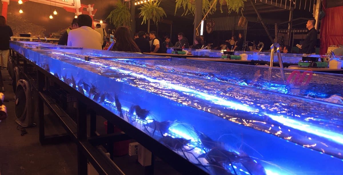 【新開店】泰國「流水蝦吃到飽」搬到台中 「18米玻璃水道」好浮誇 【新開店】泰國「流水蝦吃到飽」搬到台中 「18米玻璃水道」好浮誇