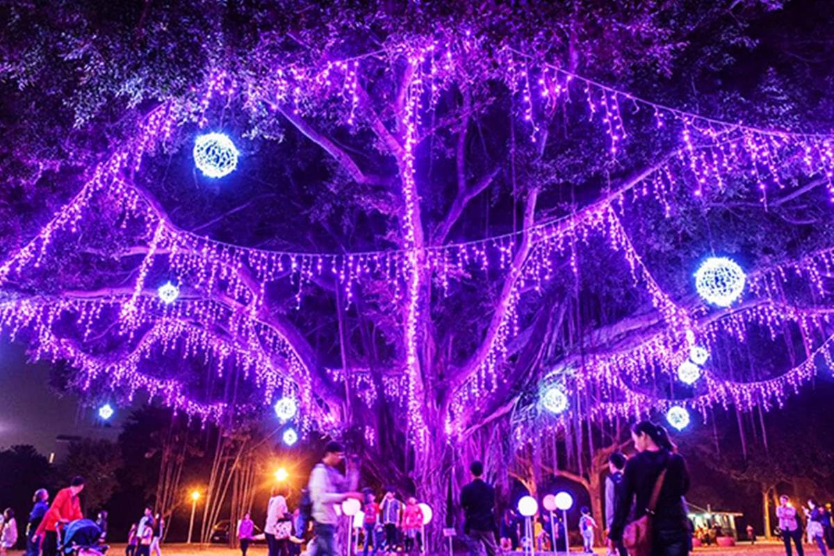 彩虹棒棒糖+生命樹!夢幻燈會「7大打卡熱點」新年拍一波 彩虹棒棒糖+生命樹!夢幻燈會「7大打卡熱點」新年拍一波