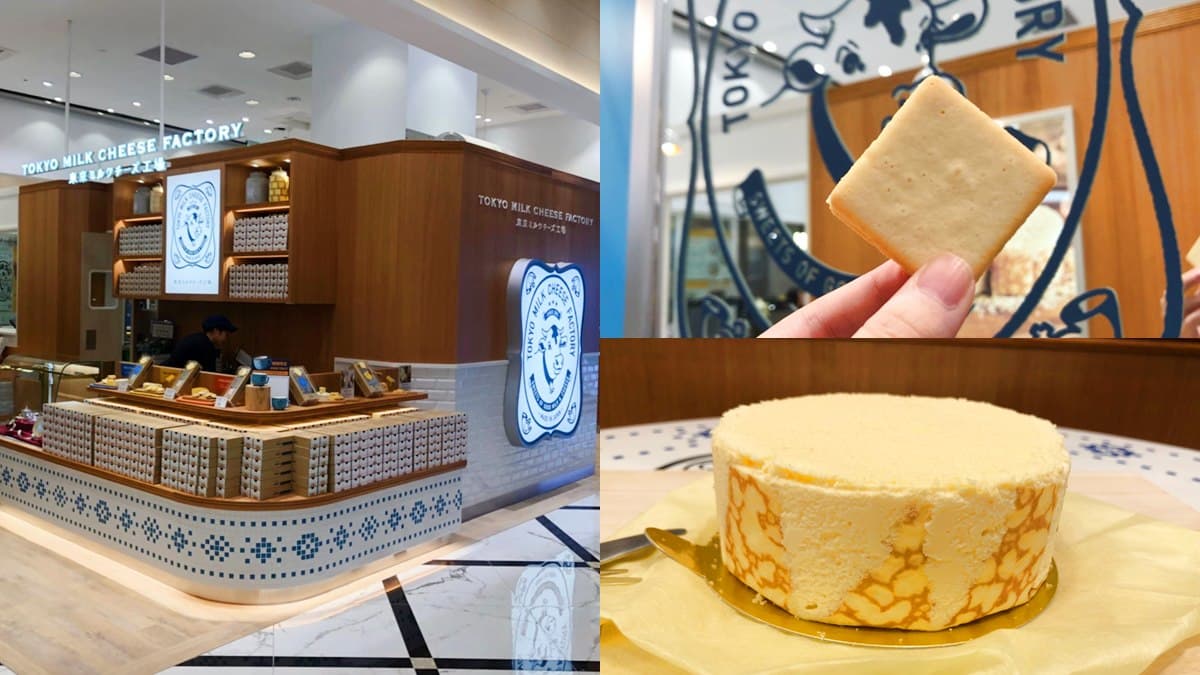 起司迷瘋狂!日本必帶伴手禮「東京牛奶起司」登台,必買海鹽起司夾心餅乾