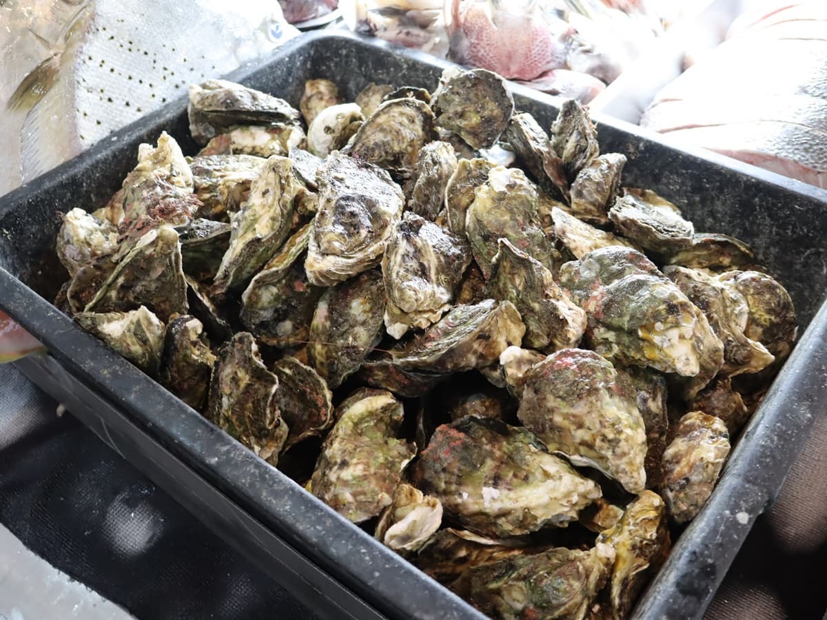 好像逛魚市場!550元海魚吃到飽 超多海鮮烤到爽 好像逛魚市場!550元海魚吃到飽 超多海鮮烤到爽