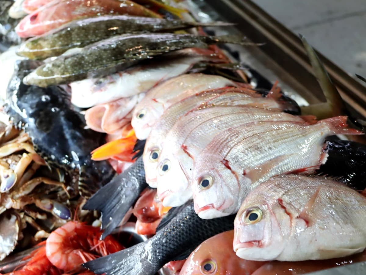好像逛魚市場!550元海魚吃到飽 超多海鮮烤到爽 好像逛魚市場!550元海魚吃到飽 超多海鮮烤到爽