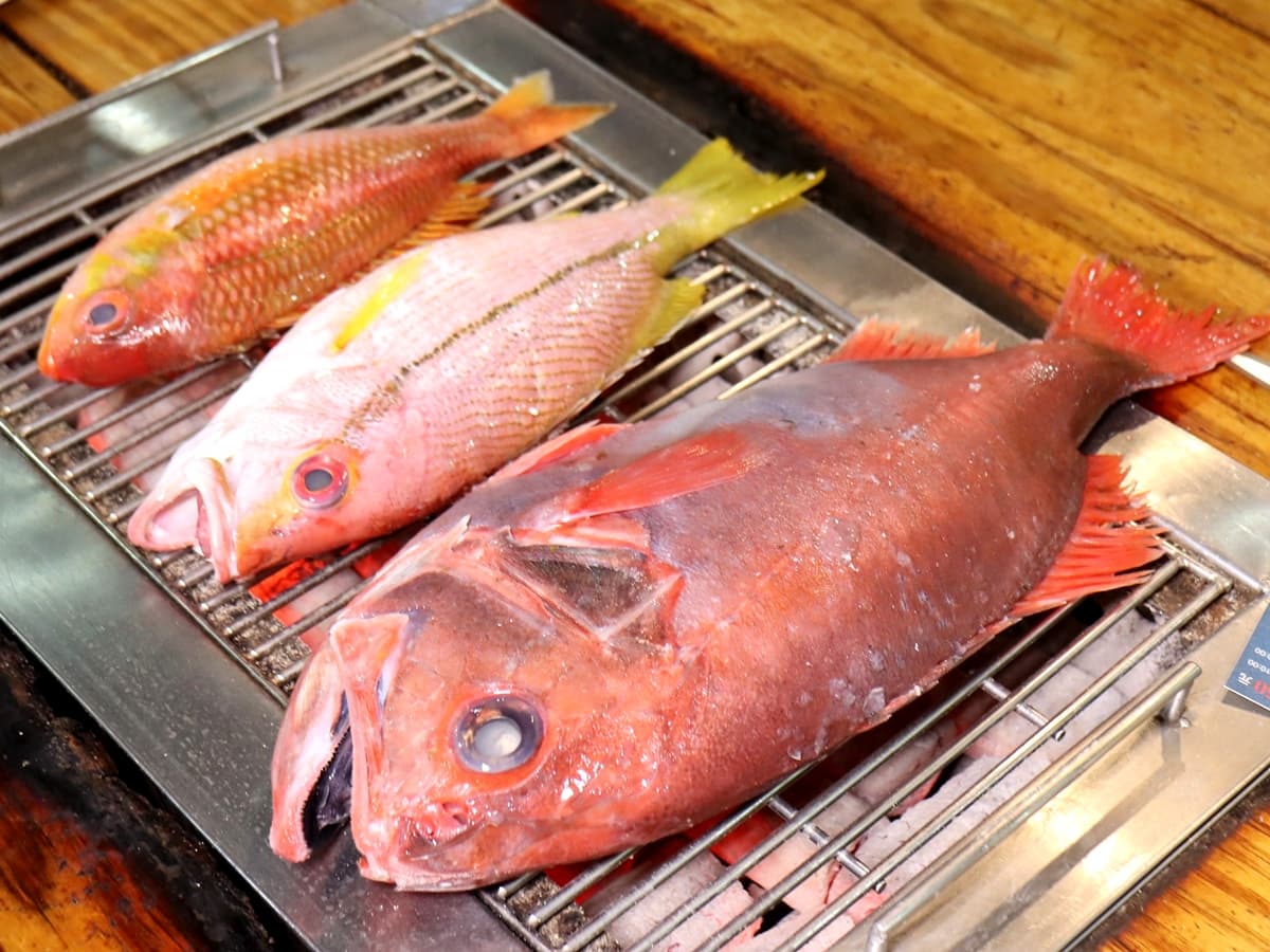 好像逛魚市場!550元海魚吃到飽 超多海鮮烤到爽 好像逛魚市場!550元海魚吃到飽 超多海鮮烤到爽