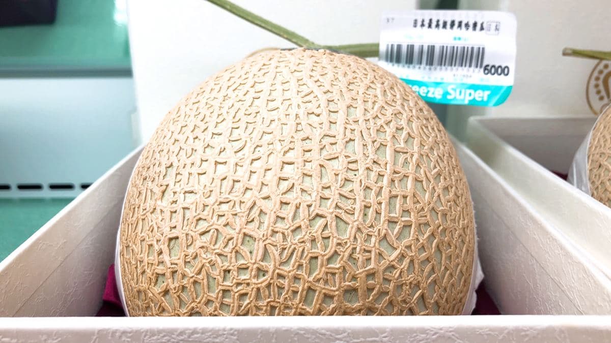 哈密瓜一顆6000元!日本「空運」鑽石級水果,猜猜草莓一盒多少錢?