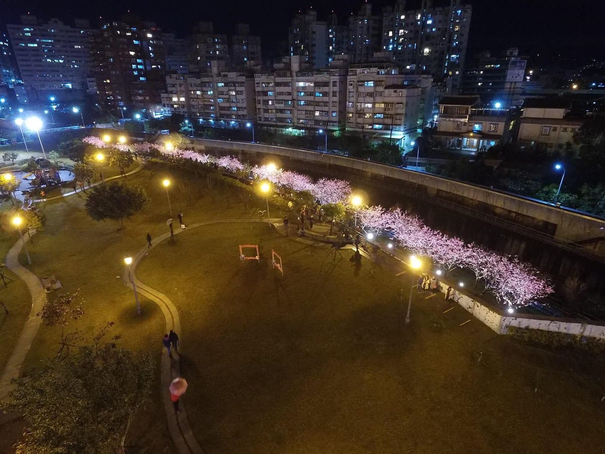 一路美到3月底!全台賞花20熱點:台版「富良野」、台灣鬱金香故鄉、金橘花海瀑布 一路美到3月底!全台賞花20熱點:台版「富良野」、台灣鬱金香故鄉、金橘花海瀑布