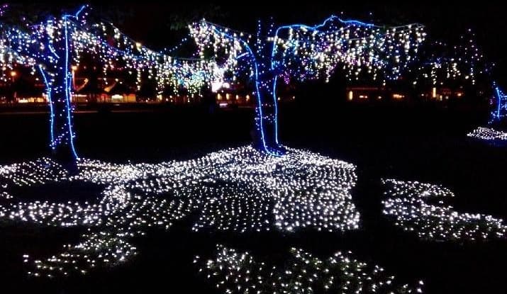 全台13個必看燈會!台北「迪士尼」、桃園「童話城」、新竹「太空豬」 全台13個必看燈會!台北「迪士尼」、桃園「童話城」、新竹「太空豬」