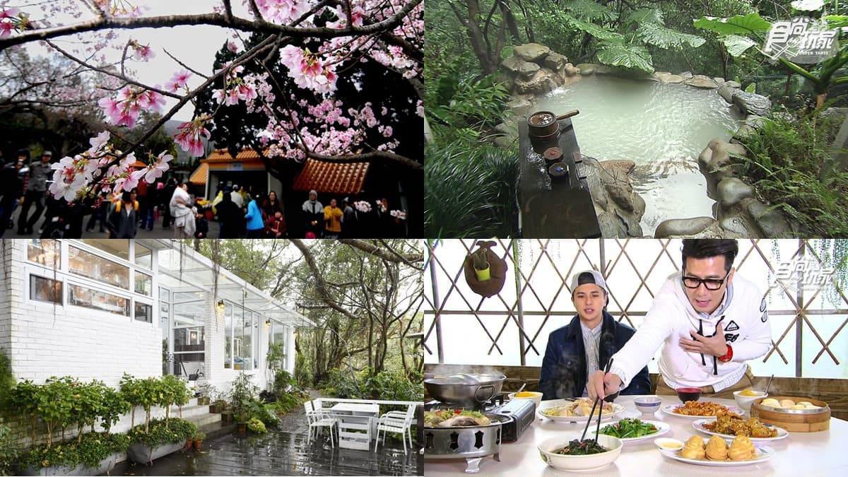 2019陽明山花季開跑!3000株櫻花+10順遊亮點,美食美景溫泉一次享受