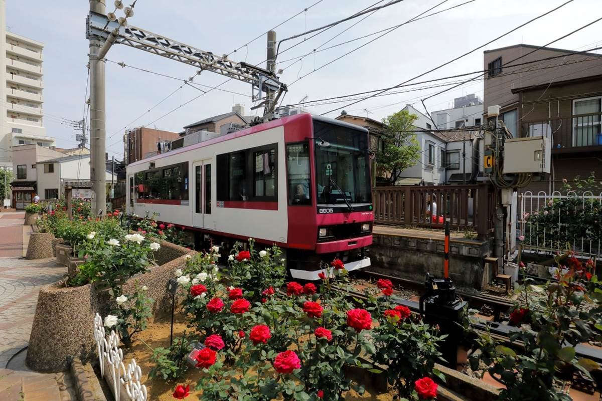 最美懷舊電車!Tokyo Sakura Tram(都電荒川線)三之輪橋停留場訪下町風情