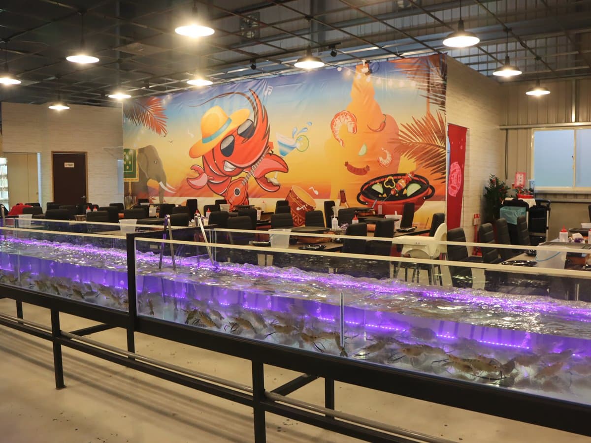 【新開店】林口也有了!雙北「最大水道流水蝦」 超大烤盤一次烤到爽 【新開店】林口也有了!雙北「最大水道流水蝦」 超大烤盤一次烤到爽