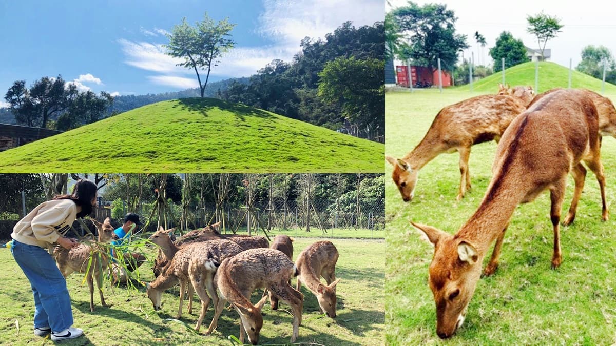 IG熱搜!全台12處「偽出國」網美景點:美國村、日本奈良、韓國青瓦臺 IG熱搜!全台12處「偽出國」網美景點:美國村、日本奈良、韓國青瓦臺