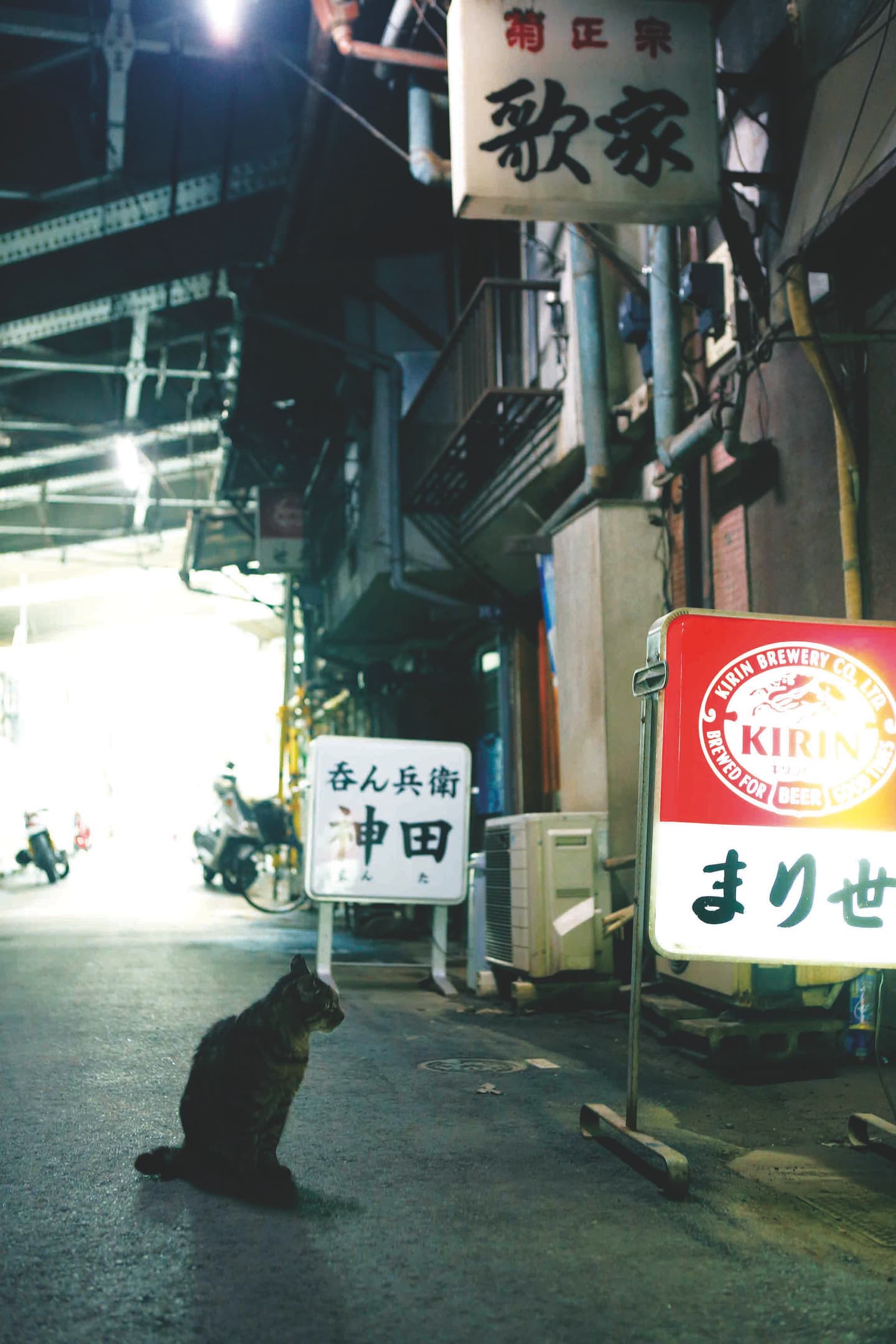 東京即將消失的景點!3座高架橋下商店,再不去下次就逛不到了 東京即將消失的景點!3座高架橋下商店,再不去下次就逛不到了