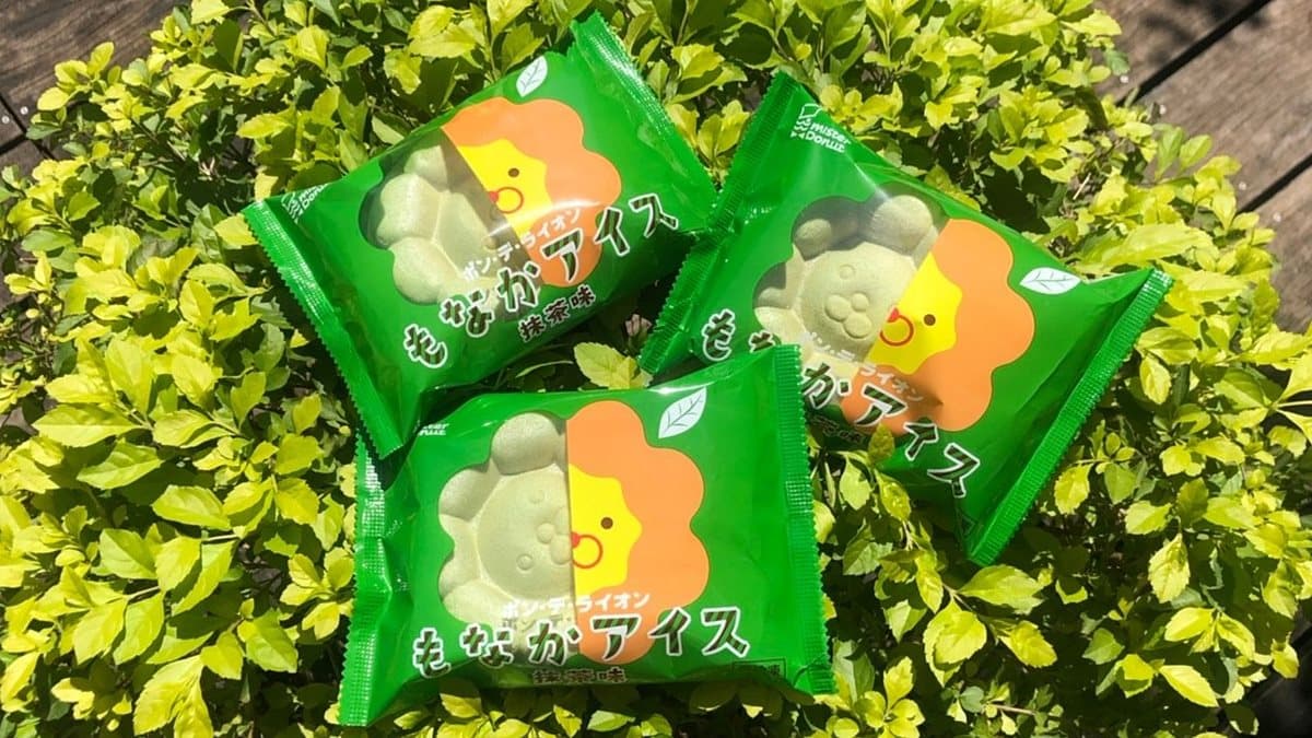 抹茶控要吃!Mister Donut推「波堤獅抹茶冰淇淋」,小七獨家開賣