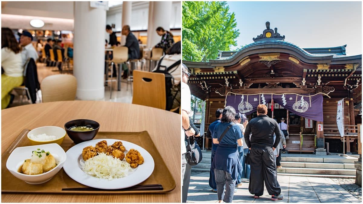 混進東大吃學生餐、最古神社求好運,原來東京還可以這樣玩